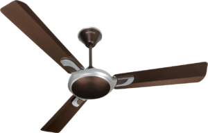 ceiling fan