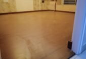 CarpetHub-Carpets & Wooden Floorings