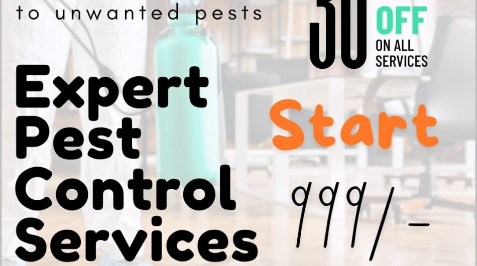 The Enemy of Pest Control Services, Sarjapur Road, Bangalore