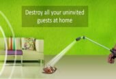 Panorama Pest Care Services, Sarakki Gate, Bangalore