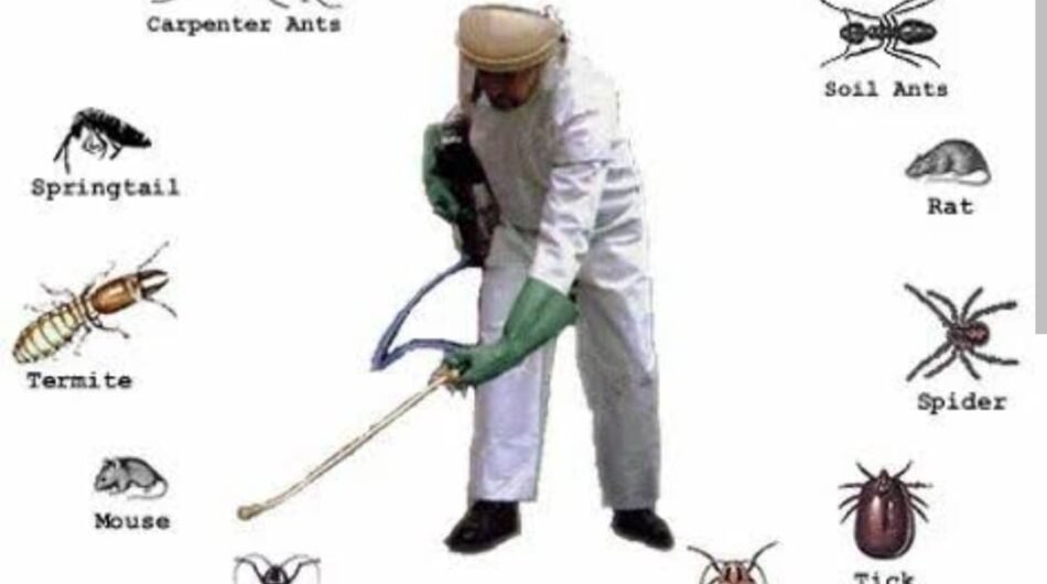 Pooja Pest Control, Vikas Nagar, Bangalore