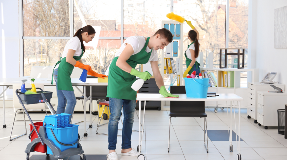 Budget Friendly Deep Cleaning & Pest Control Services in Bangalore